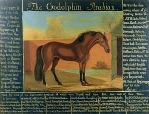 Der Godolphin Araber von Daniel Quigley